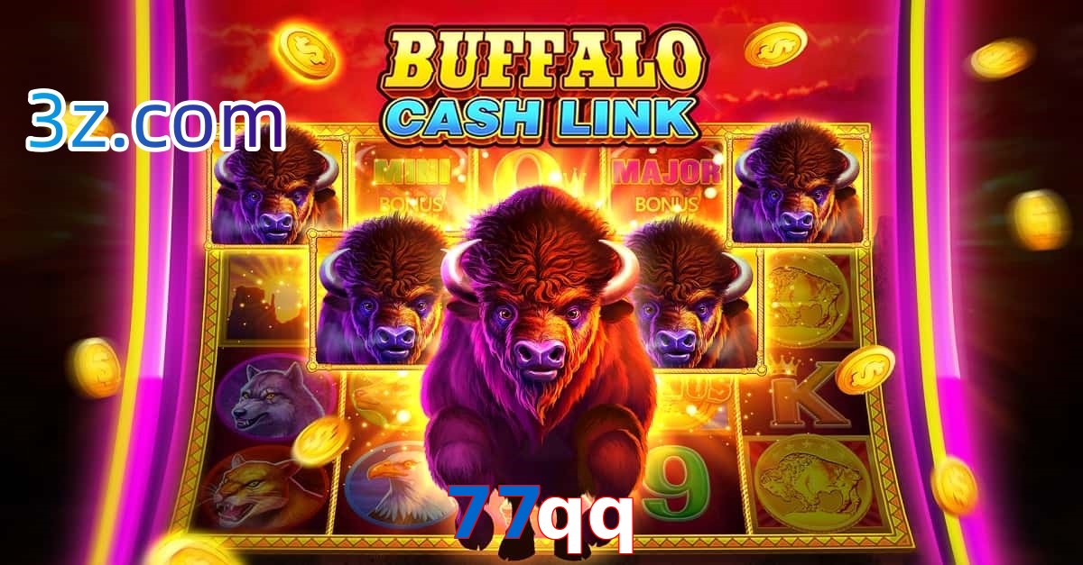 77qq.com